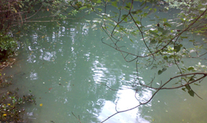 pond